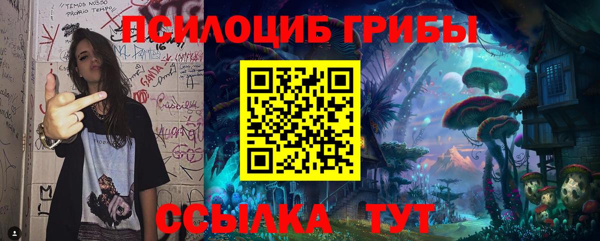 Щёлково  Галлюциногенные грибы ЛСД  Псилоцибиновые грибы мицелий  Вход с VPN 
