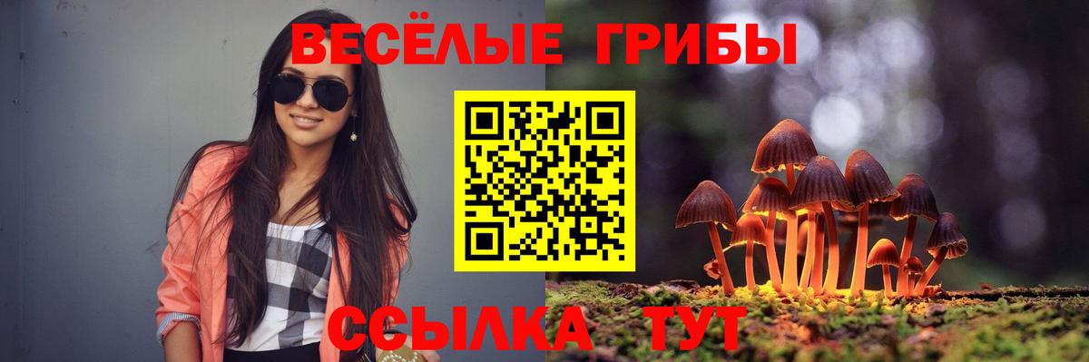Псилоцибиновые грибы прущие грибы Щёлково